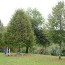 21-Pomnik-Glavarjevi-lipi-Lansprez-26.-9.-2020-338-–-kopija-130x130