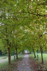 01-Ukrocena-trmoglavka-003-200x300