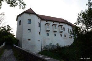 02-Ukrocena-trmoglavka-006-300x200