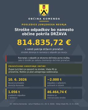 Grafični prikaz v številkah