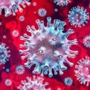 korona-virus-130x130
